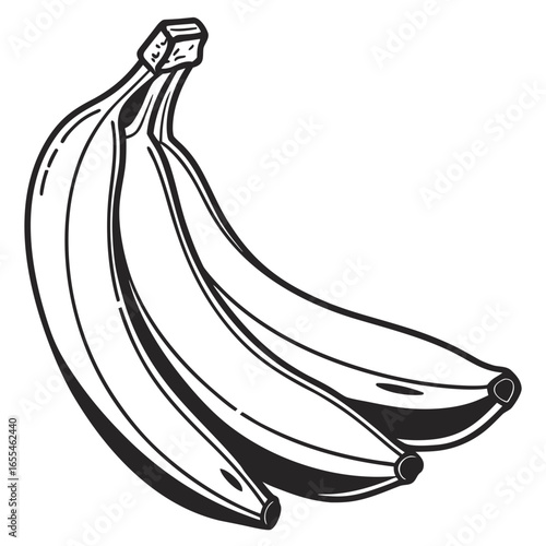 Simple black and white illustration of a bunch of ripe bananas on a white background