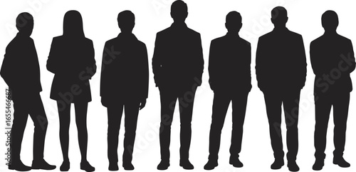 Silhouettes of business professionals standing side by side, corporate attire, teamwork, diversity, leadership, unity, office people, formal clothing, success concept