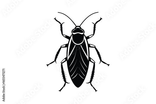 Black cockroach silhouette isolated on white background