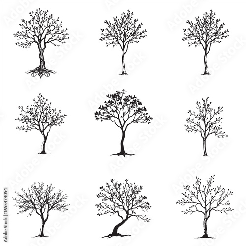 set of manzanita trees silhouettes