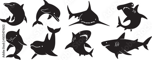 A cartoon image depicts silhouettes of sharks and dolphins in a blue-framed square.
