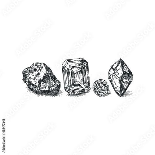 Collection of raw and faceted gemstones depicted in a detailed sketch