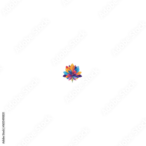 colorful flowers isolated on white