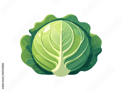 緑の野菜