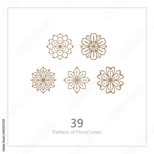 Pattern of Floral Lines, Ornamental Line Art, Decorative Stripe Design