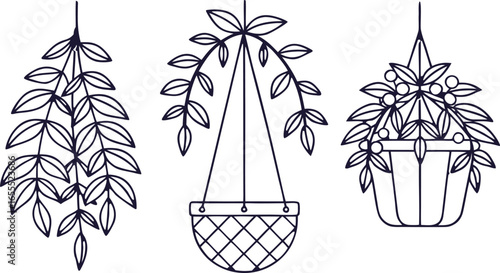 Line art depicts three distinct hanging plants each styled in a unique pot design