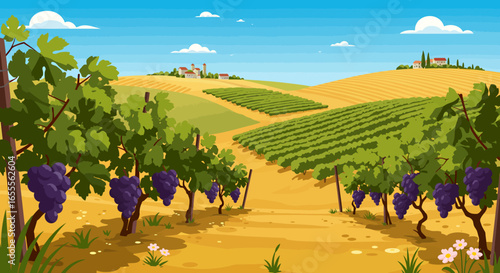 A vineyard landscape with rows of grapevines rolling hills and rural buildings under a blue sky