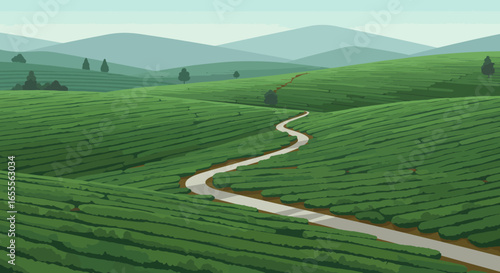 A winding road cuts through a lush green landscape of tea fields under a pale sky dotted with sparse trees