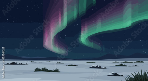Aurora Borealis over a snowy field with faint mountains and sparse vegetation under a starry sky