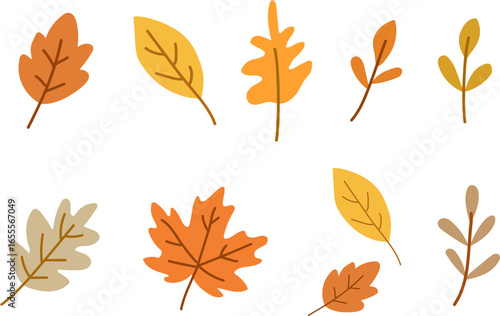 Autumn Leaves Vector Set Illustration / 가을 낙엽 세트 벡터