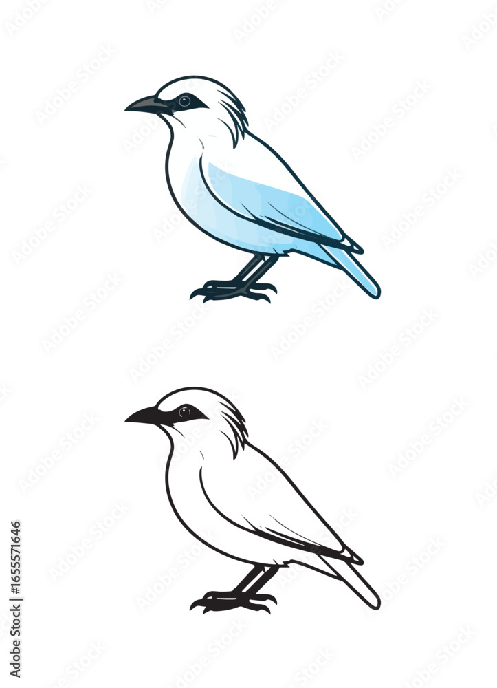 Obraz premium Stylized blue bird illustration and black and white line art version. Isolated vector graphic of a songbird for nature or ornithology themes.