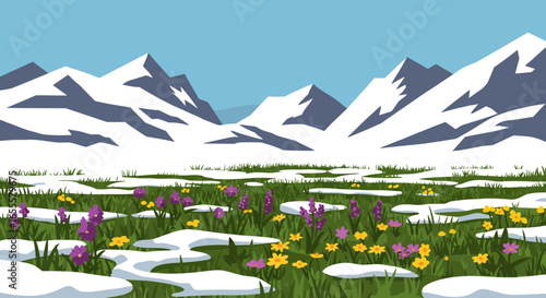 Snowy mountains backdrop a meadow with purple and yellow flowers amidst melting patches of snow