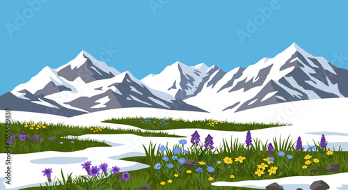 Snowy mountains with flowers dotting the foreground under a blue sky