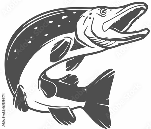 Pike fish icon isolated on wh...