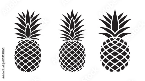 Tropical pineapple fruit illustration, vector set of pineapple on white background