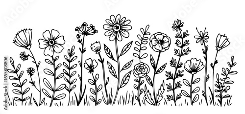 Elegant wildflowers in black and white line art create a stunning whimsical garden design element for many creative projects