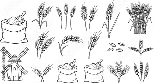 Wheat grain harvest vector illustration outline drawing