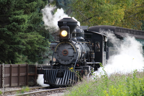 Locomotive Steaming Up