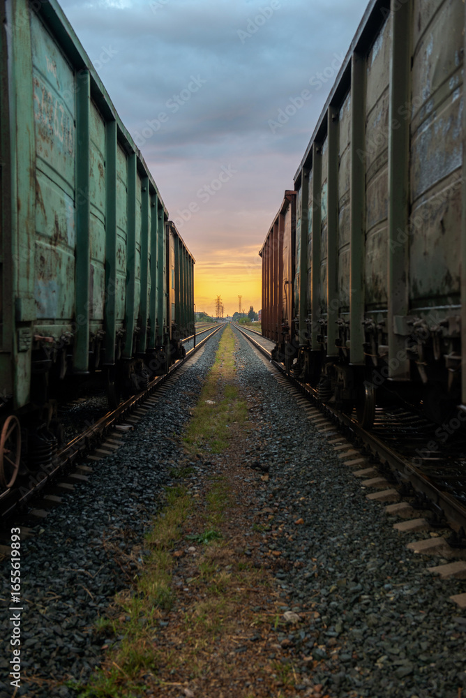 Obraz premium freight train on the railway