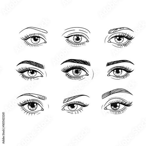 Vector illustration of diverse eye styles showcasing eyelash and eyebrow variations with a minimalist approach
