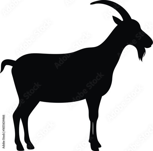 Goat silhouette illustrtion