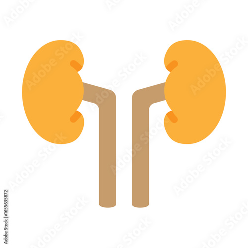 Kidney Vector Flat Icon Design
