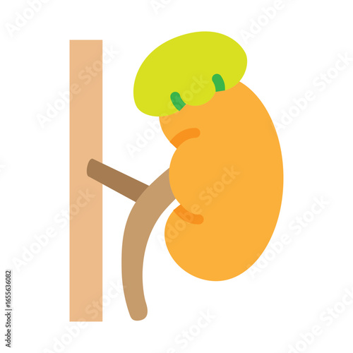 Adrenal Gland Vector Flat Icon Design