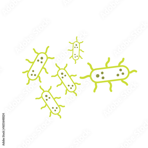 salmonella bacteria outline