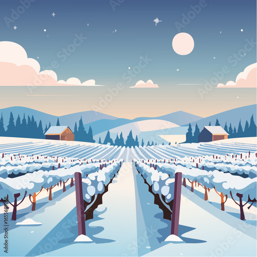 winter in the vineyard with snow blankets dormant vines and ambient light