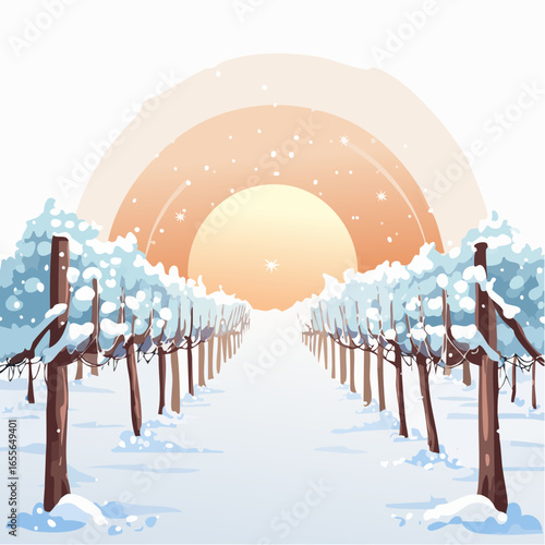 winter in the vineyard with snow blankets dormant vines and ambient light