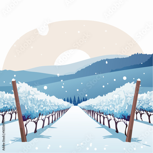 winter in the vineyard with snow blankets dormant vines and ambient light