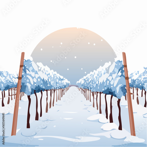 winter in the vineyard with snow blankets dormant vines and ambient light