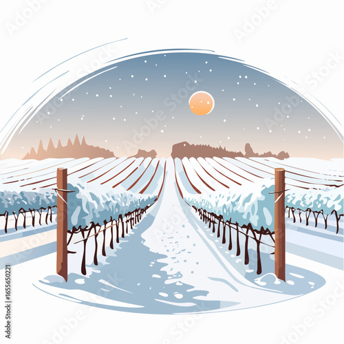 winter in the vineyard with snow blankets dormant vines and ambient light