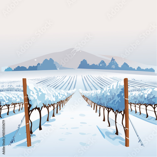 winter in the vineyard with snow blankets dormant vines and ambient light