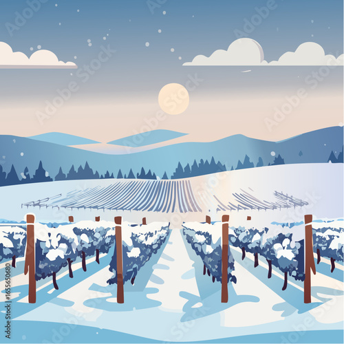 winter in the vineyard with snow blankets dormant vines and ambient light