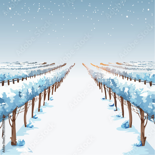 winter in the vineyard with snow blankets dormant vines and ambient light