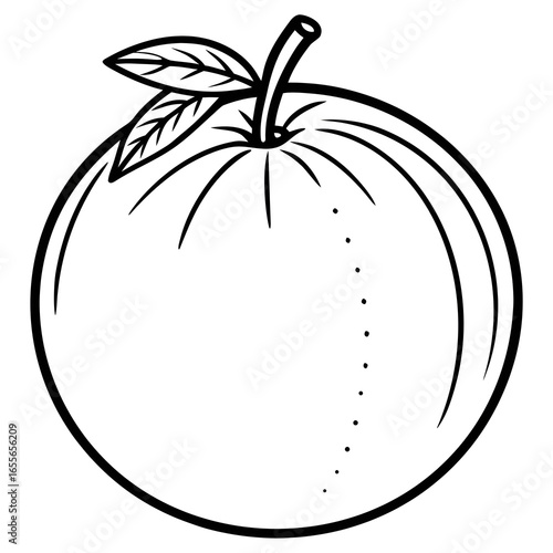 Clean vector style orange fruit isolated on white background