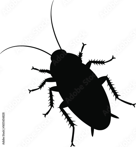 Cockroach silhouette vector, insect illustration, pest control concept, black and white bug drawing, detailed outline, biology graphic, entomology design.