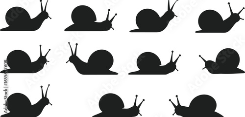 Snail silhouette collection, nature illustration, shell design, black vector graphic, animal icon, educational material, creative project, mollusk art.