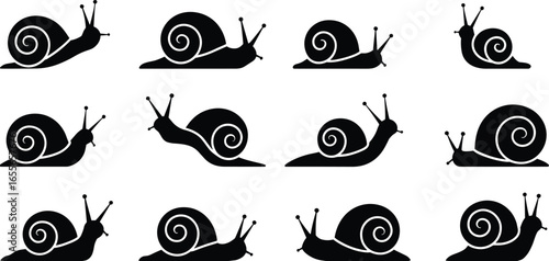 Silhouette snail collection, nature illustration, shell pattern design, black vector graphic, animal icon, educational material, creative project, art.