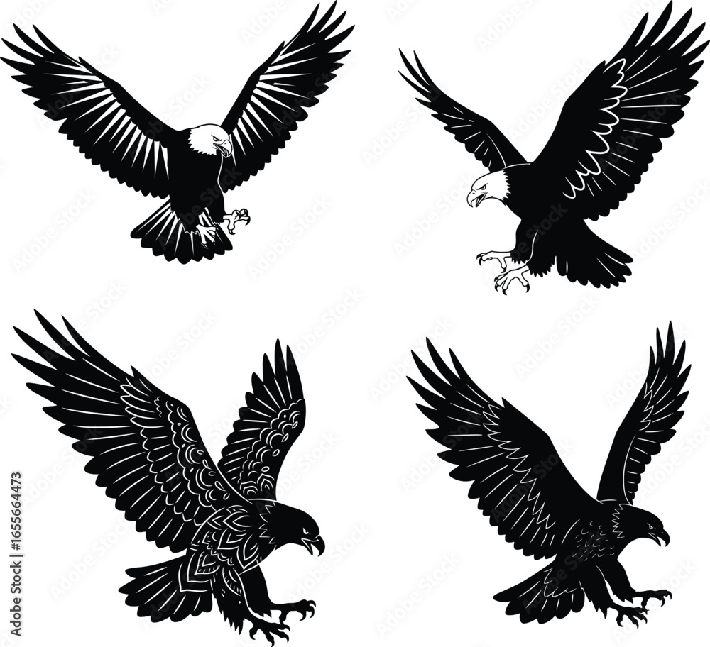 Obraz premium Silhouette and lines of a flying eagle.Vector illustration isolated on white background.