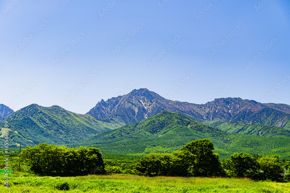 Obraz premium 野辺山高原から見る夏の八ヶ岳