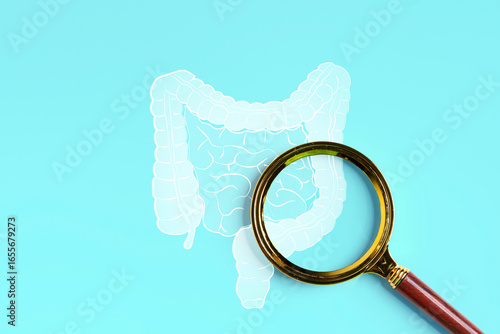 Fotografie Magnifying glass focusing on human intestine illustration, medical concept of di