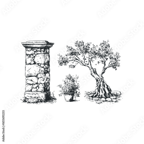 Hand drawn sketch of an antique stone pillar and gnarled olive tree