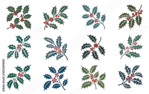 Christmas Holly Branch and Berry Vector Illustration Set