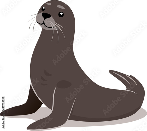 Sea lion sitting on flippers front view isolated on white background isolated on transparent background