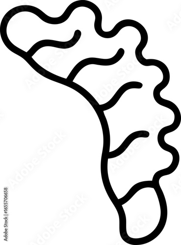 Sea sponge with tubular shape top down view isolated on white background isolated on transparent background
