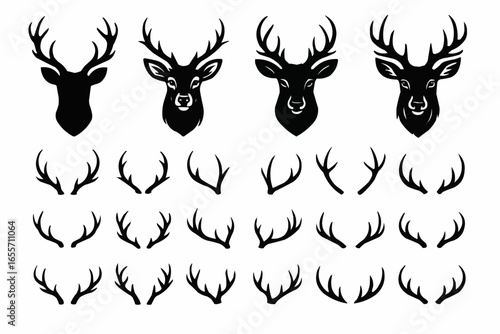 deer vector set
