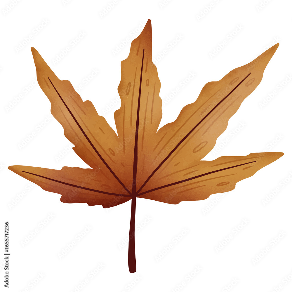 Obraz premium Autumn Maple Leaf Isolated on Transparent Background