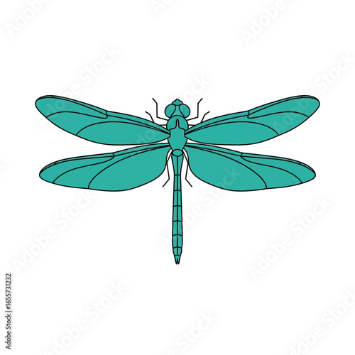 Elegant Teal Dragonfly Vector Illustration Nature-Inspired Design Element for Creative Projects